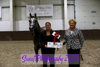 Sunday In-Hand ECAHO Fillies 2 yrs