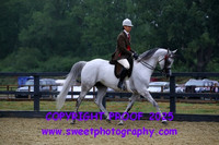 BNC Novice Ridden Mares