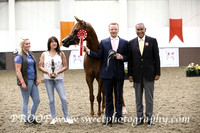 Sunday Mares 4 to 6 yrs
