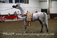 Sunday Championship Sr Male