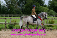 RIDDEN Novice Championship