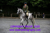 BNC Pre Novice Ridden Geldings