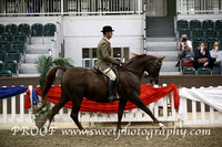Saturday Ridden Mares