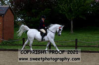 RIDDEN Open Geldings