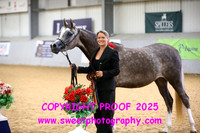 IN-HAND Jr Female Championship