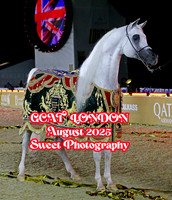 GCAT LONDON August 2025