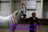SATURDAY EVENING Sr Male BN Championship