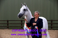 IN-HAND Senior Arabian Championship