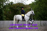 RIDDEN Darley BB