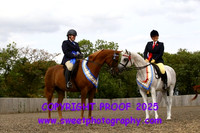 RIDDEN Amateur Arabian