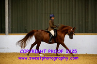 RIDDEN Novice Stallion