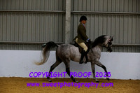 RIDDEN Novice Geldings