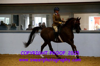 RIDDEN BACS Open Geldings