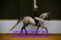 RIDDEN HOYS Mares