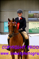 RIDDEN HOYS Geldings
