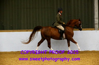 RIDDEN HOYS Stallions