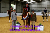 RIDDEN HOYS Championship