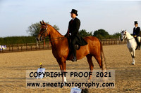RIDDEN BACS Geldings