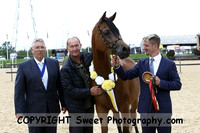 ECAHO Champs Geldings