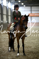 Day 1 HOYS Geldings