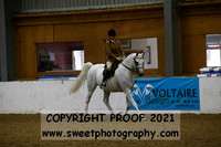RIDDEN HOYS Geldings