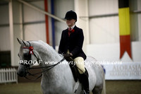 Friday HOYS Geldings