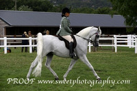 Friday Birkrigg Park Ridden Novice Geldings