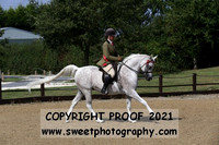 RIDDEN HOYS Geldings