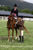 Friday Birkrigg Park Ridden Novice Geldings Best Of