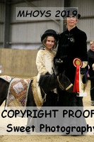 RING 3 Concours D'Elegance