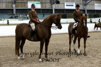 HOYS Championship