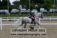 HOYS Geldings