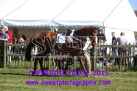 Race 4 Lady Dudley Cup