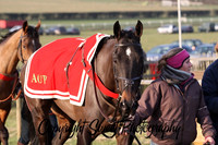 Race 7