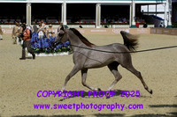 FRIDAY Class 1B 11 NAJDAIN AL SHAQAB