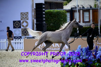 FRIDAY Class 1B 18 ARABELLA AL SHAHANIA