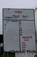 Pony Races