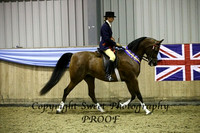 Ridden Mares