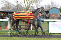 Race 7