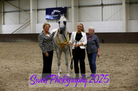 Sunday In-Hand ECAHO Geldings Championship