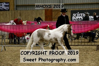 RING 2 British Bred