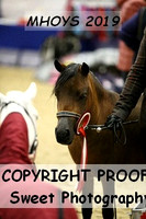 RING 2 Falabella