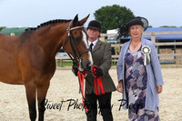 In-Hand Classes 23 -28