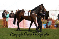 Race 4