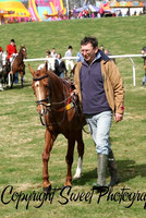Pony Racing
