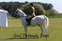 Ring 2 HOYS and after