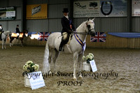 Ridden Geldings B