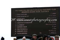 Race 2 Division 2