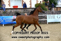 Mares Class 16A