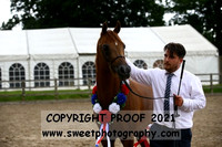 ECAHO Stallions